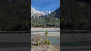 Kicking Horse River yohonationalpark britishcolumbia canada photography trending [upl. by Bartle]