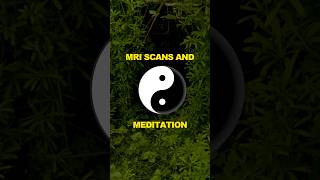 Mindfulness Meditation and MRI Scans [upl. by Cerveny]