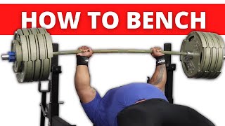 The ULTIMATE Bench Press Tutorial Feat Julius Maddox [upl. by Rhody]