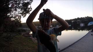 Fishing Crabbing Cooking Eating Picking BlueBerries On The South Coast Australia [upl. by Binky]