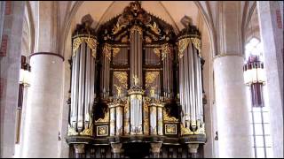 Bach  Organ Concerto BWV 594  Ton Koopman [upl. by Dickey500]