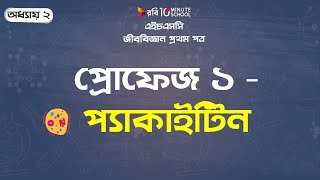 ৯। অধ্যায় ২ঃ কোষ বিভাজন প্রোফেজ ১ঃ প্যাকাইটিন Prophase 1 – Pachytene [upl. by Catherine]