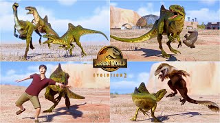 Concavenator Pack Chasing Hunting Social and all other epic animations in Cretaceous Predator Pack [upl. by Aihsemek308]