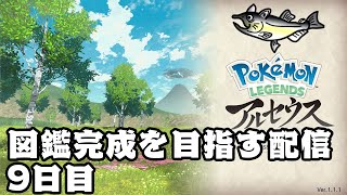 ポケットモンスター LEGENDSアルセウス 図鑑埋め等の旅9日目 [upl. by Grider]