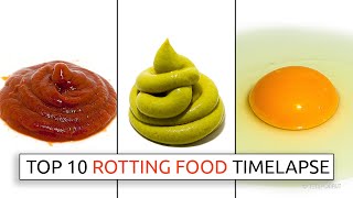 Top 10 Rotting Food Timelapses [upl. by Ozan]