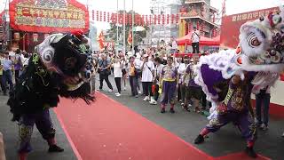 屯門紫田村賀醮 醒獅   廈村鄉約甲辰年十年一屆 太平清醮 20241113 [upl. by Mastrianni817]