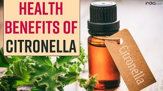 Citronella Natural Insect Repellent To Treating Infection Citronella Has Some Miraculous Benefits [upl. by Niloc]