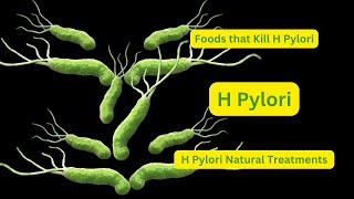 Gastric Guardian Foods that Combat H pylori Naturally  H Pylori Natural Treatment [upl. by Nuawtna]