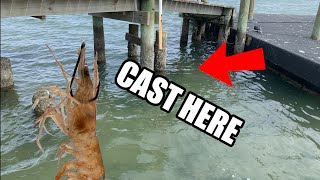 This Is Why You Fish The Heart Of The Dock Saltwater Fishing With Live Shrimp [upl. by Silverts774]