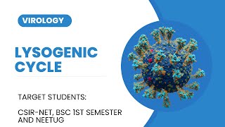 Lysogenic cycle  Lysogenic conversion  Virology L5 [upl. by Aveline93]