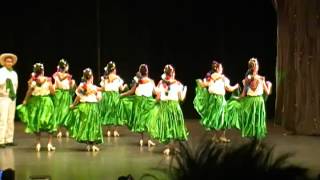 Baile de Guerrero [upl. by Toffey]