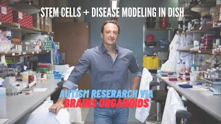 Stem Cells and Disease Modeling in a Dish Autism Research via Brain Organoids [upl. by Behl]