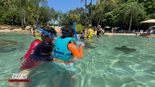 THE BEST DAY EVER AT DISCOVERY COVE ORLANDO AN ALL INCLUSIVE DAY RESORT IN ORLANDO FLORIDA travel [upl. by Beaumont926]