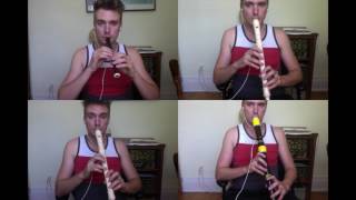 Kirby theme song  4 flutes [upl. by Asel]