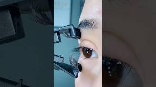 Magnetic eyelash clip easy to use funny makeup trending makeupartist makeuptutorial [upl. by Aihpledalihp]