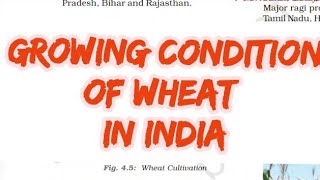 Growing Condition of Wheat in indiaWheatupscfacts7003 [upl. by Hawley]