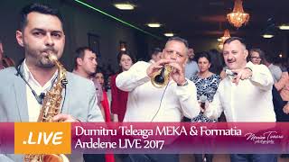 Dumitru Teleaga MEKA amp Formatia  Ardelene  LIVE 2017 [upl. by Darryn]