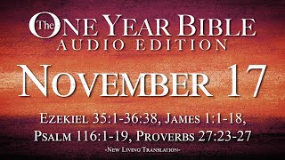 November 17  One Year Bible Audio Edition [upl. by Eittod]