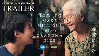 How To Make Millions Before Grandma Dies  Movie Review [upl. by Lotson]