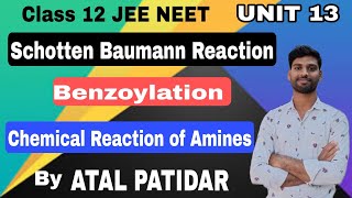 ।।Benzoylation।।Schotten Baumann Reaction।।Chemical Reactions of Amines।।Amines।।Class 12 JEE NEET।। [upl. by Halilak]