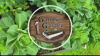 Gardening tips for Gandys Gardeners [upl. by Acessej538]