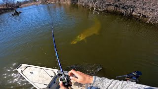 Fishing a SMALL RIVER for GIANT MUSKIES 12 MUSKY IN ONE DAY [upl. by Parsifal]