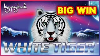 White Tiger Slot  BIG WIN BONUS  SHORT amp SWEET [upl. by Yrrem]