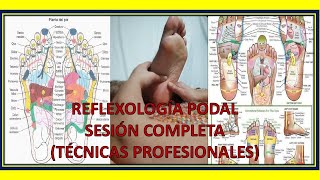 👣 REFLEXOLOGÍA PODAL sesión COMPLETA Técnicas Profesionales 🙌 [upl. by Hoffarth981]