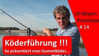 Köderführung So präsentiert man Gummiköder [upl. by Porter350]