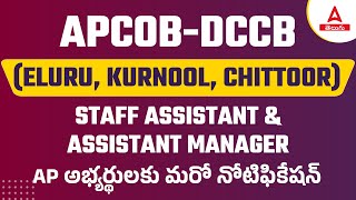 AP DCCB Karnool Chittoor Eluru 2022 Notification Complete Details  Adda247 Telugu [upl. by Arrim686]