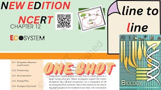 Ecosystem one shot NCERT line to line  class 12th biology  NEET ONE SHOT  studyunscripted SS [upl. by Royden]