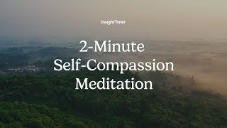 Guided Meditation  2Minute SelfCompassion Meditation  Insight Timer [upl. by Allecsirp664]