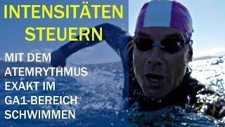 SCHWIMMEN Intensitäten steuern mit dem Atemrhythmus [upl. by Levram]