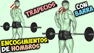 EJERCICIO Para TRAPECIOS ✔ Los ENCOGIMIENTOS De HOMBROS Con BARRA 👉 Gana ESPALDA Ancha [upl. by Naylor570]