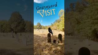 Graveyard Visit  countryside peaceful cemetery history ambience autumn halloween [upl. by Aitram]