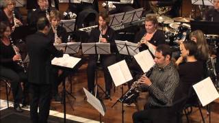 Artie Shaw Concerto for clarinet  Bence Szepesi [upl. by Cally859]