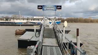 Hochwasser Köln  Rodenkirchen 261223 [upl. by Ashok]