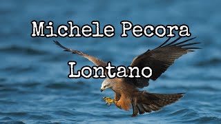 Lontano  Michele Pecora  Testo [upl. by Anaeirb]