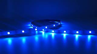 30LEDM DC12V WS2815 RGBW pixel led strip light [upl. by Krishnah]