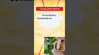 Cyhalofopbutyl Herbicide for Effective Postemergence Weed Control [upl. by Imuyam]