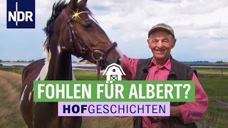 Tierarzt bei Alberts Pferden  Hofgeschichten 151  NDR auf’m Land [upl. by Tenaj]