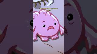 Giant Frogfish 🐸🐟 animation original cartoon [upl. by Aluino]