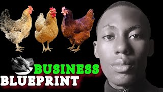 BUSINESS PLAN to become a MILLIONAIRE from local chicken farming in Ghana [upl. by Jourdan198]