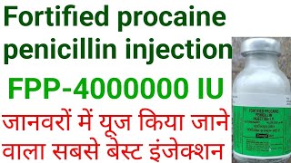 Fpp 40 iu injectionfortified procaine penicillin injection uses in hindihow to use fpp injection [upl. by Oivaf960]