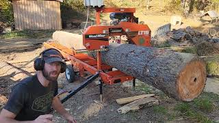 WoodMizer Saw Shed Part 1  Milling the Main Beam sawmill woodworking hardwork [upl. by Lavelle127]