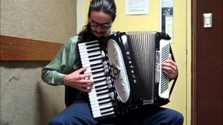 Title Theme The Legend of Zelda Ocarina of Time accordion cover [upl. by Borrell]