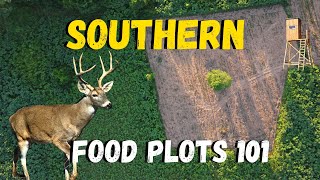 Southern Fall Food Plots DEADLY and CHEAP hunting [upl. by Giffard]