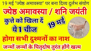 19 मई शनि जयंती  ज्येष्ठ अमावस्या कुत्ते को खिला दें ये 1 चीज मृत्युदण्ड पितृदोष तुरंत होगा खत्म [upl. by Cormier]