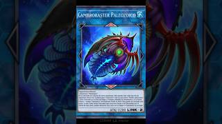 Yugioh Cambroraster Paleozoico Carta Tipo Agua [upl. by Akinad456]