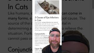 The secret to treating your cats eye infection at home [upl. by Esimehc709]